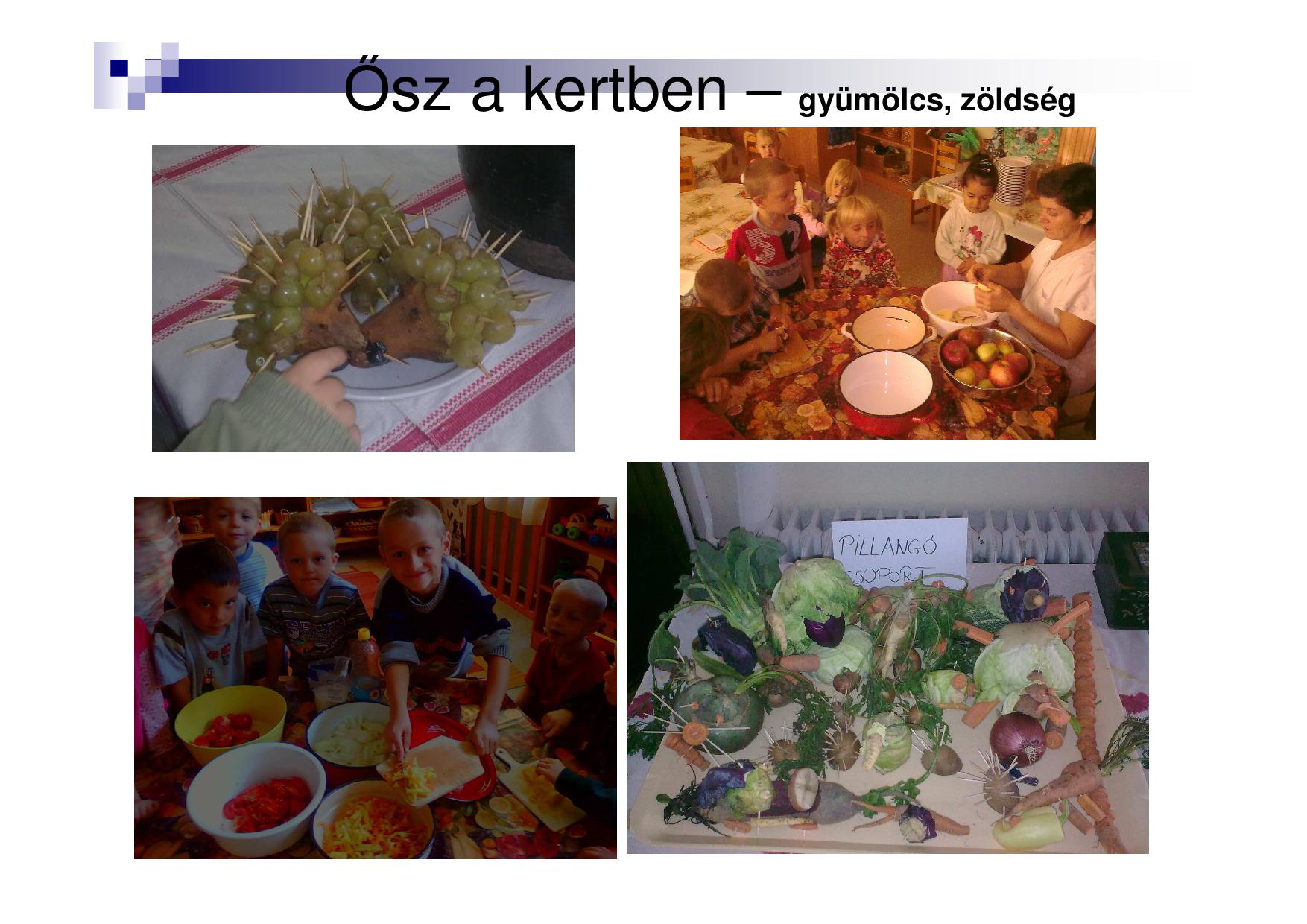 Kadarkúti Gyermekkert Óvoda